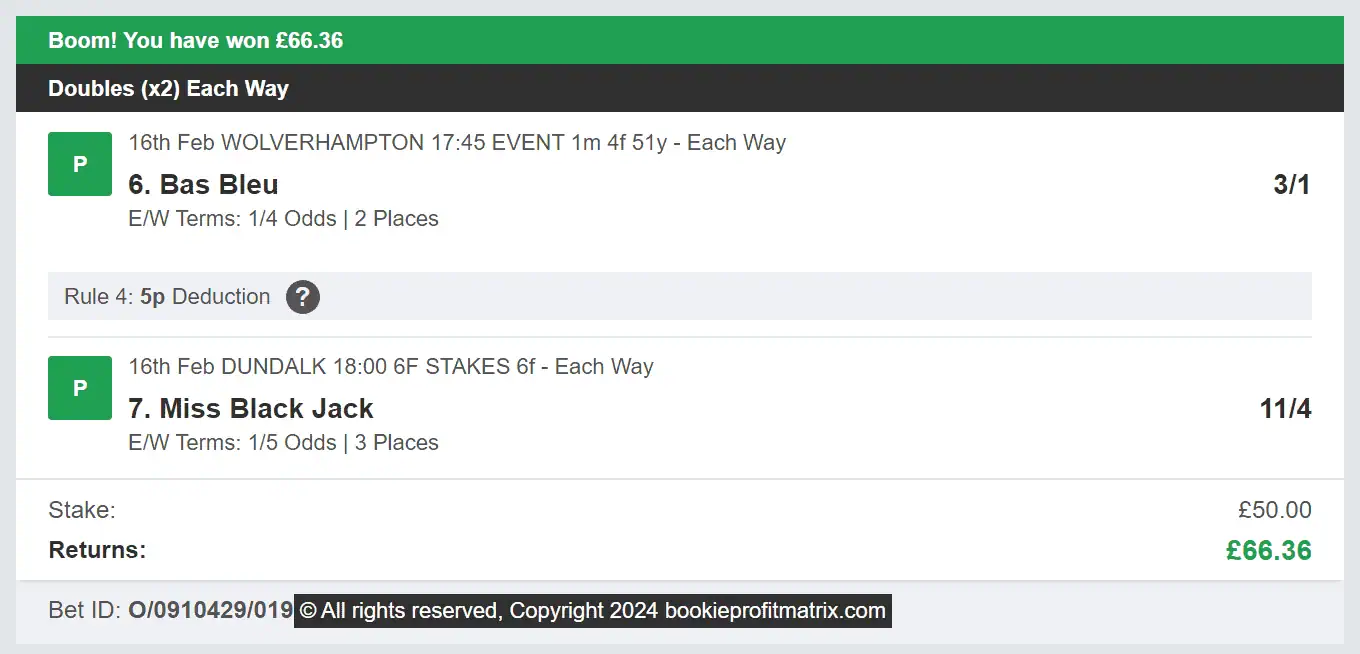 Bookie Profit Matrix - Winner - Multi - 2024-02-16