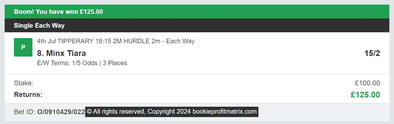 Bookie Profit Matrix - Winner 1 - 2024-07-04