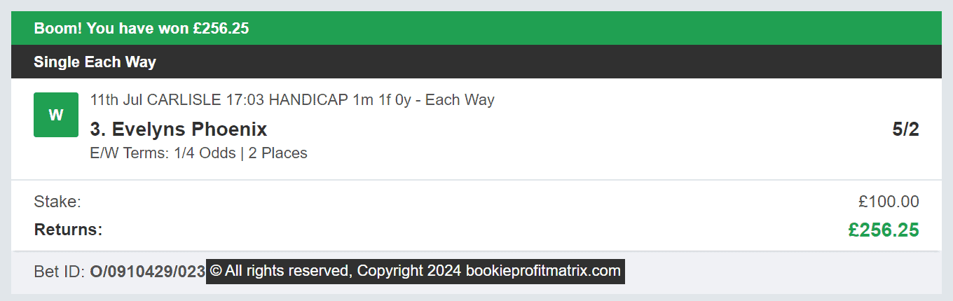 Bookie Profit Matrix - Winner 1 - 2024-07-11