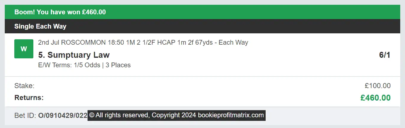 Bookie Profit Matrix - Winner 2 - 2024-07-02